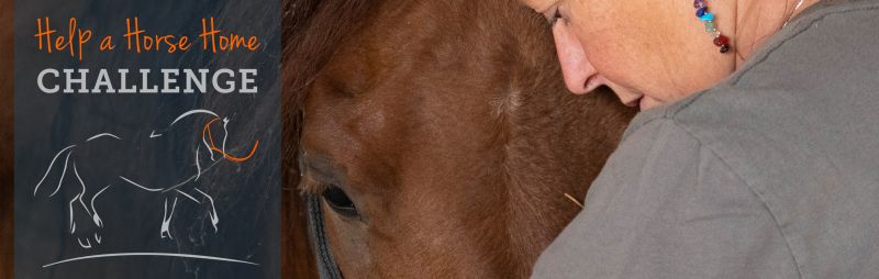 Join Help a Horse Home: The ASPCA® Equine Adoption Challenge | ASPCApro