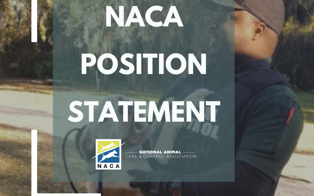 NACA Position Statement on Elective Declawing of Domestic Cats