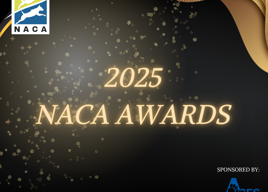 Congratulations 2025 Award Recipients!