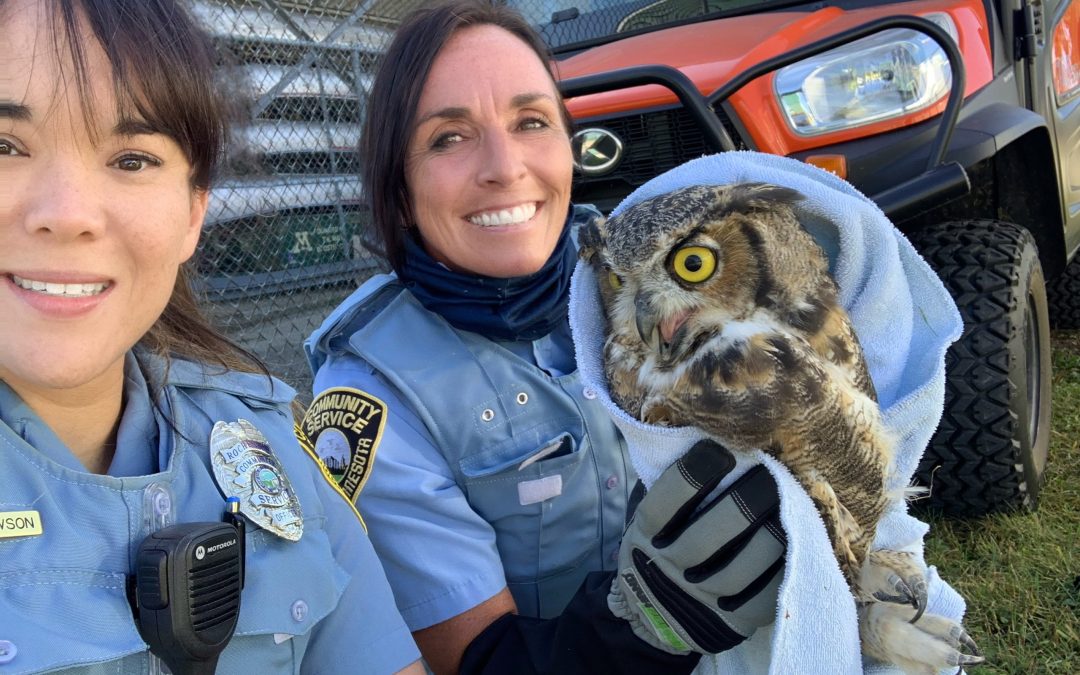 Animal Control Officers Deserve More Than Appreciation—They Deserve Support