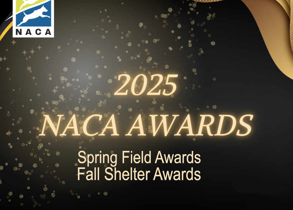 2025 NACA Annual Awards Spotlight