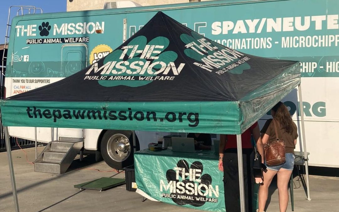 Why Access to Spay & Neuter Still Matters