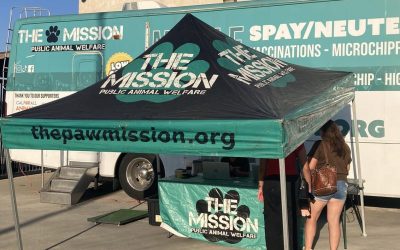 Why Access to Spay & Neuter Still Matters